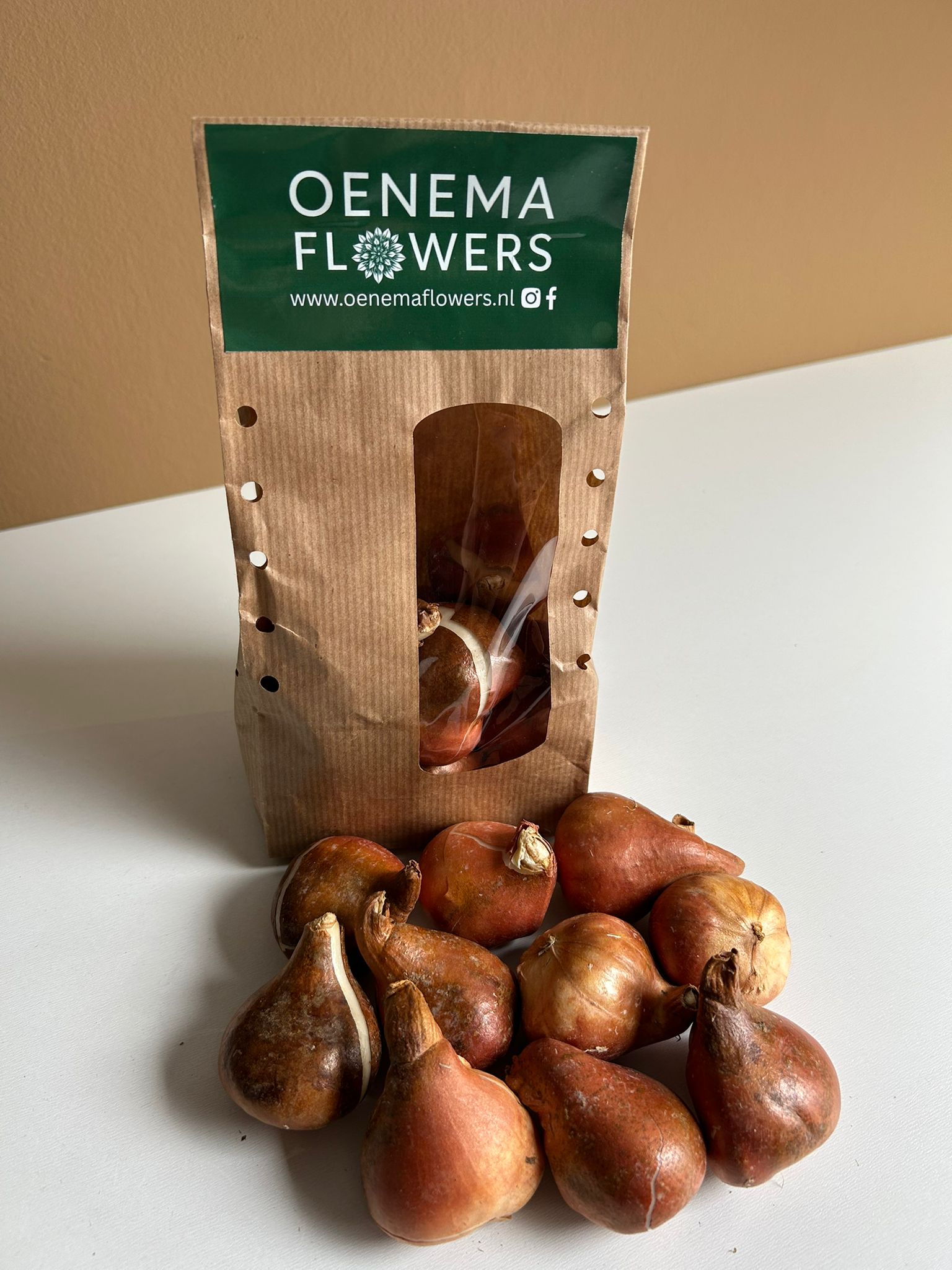 Zakjes tulpenbollen