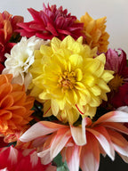 Dahlia bijen/border mix