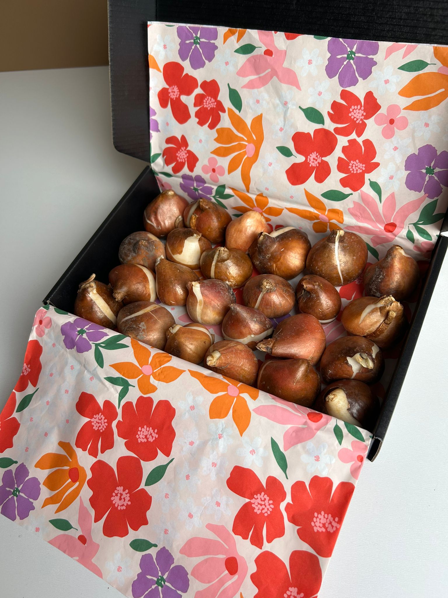 Luxe giftbox met 24 tulpenbollen naar keuze