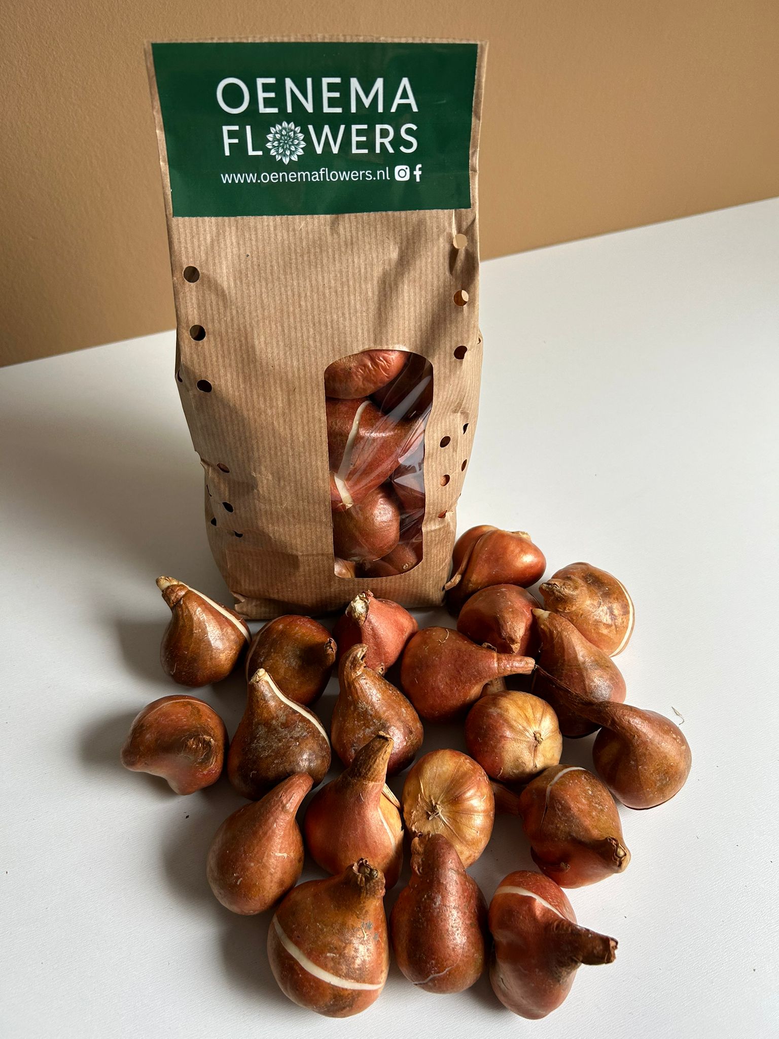 Tulpenbollen kleurenmix